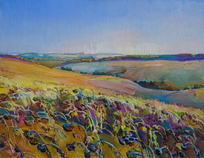 Campos de girasoles llenos de color de Andrii Kutsachenko