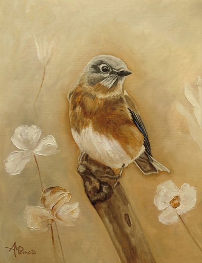  de Angeles M. Pomata