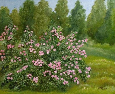 El tranquilo jardín de rosas de Angeles M. Pomata