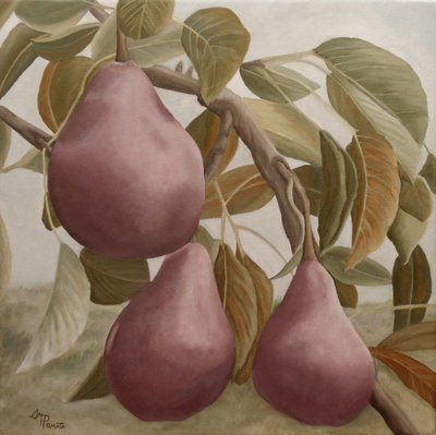  de Angeles M. Pomata