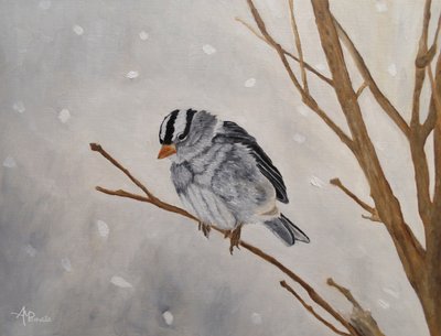  de Angeles M. Pomata