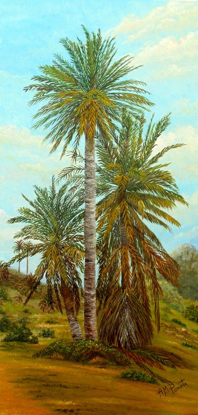 Palmeras del desierto soleado de Angeles M. Pomata
