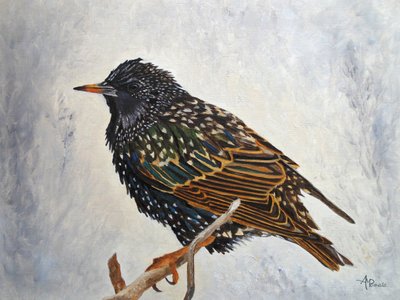  de Angeles M. Pomata
