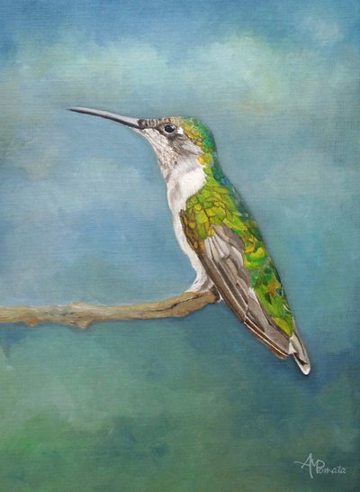  de Angeles M. Pomata