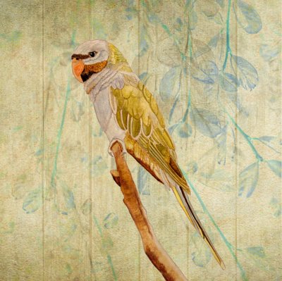  de Angeles M. Pomata