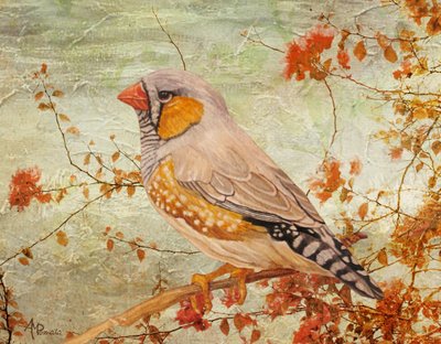  de Angeles M. Pomata