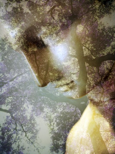 Perfil de Ethereal Forest de Angelo Cerantola