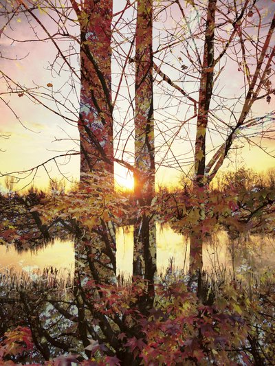 La hora dorada: reflejos otoñales de Angelo Cerantola