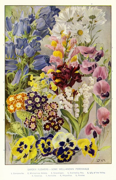  de Angelo Fairfax Muckley