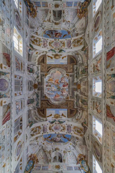 Techo de la sala con los Cuarteles de Bolonia, Sala de la Guardia, Palacio Ducal Este, Sassuolo, Italia de Angelo Michele Colonna