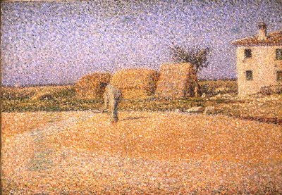 Maíz al sol de Angelo Torchi