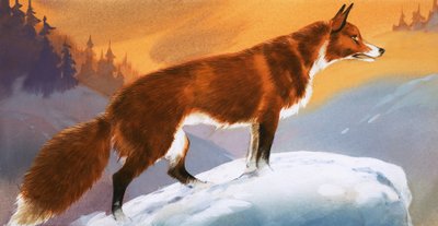 Zorro en la nieve de Angus McBride
