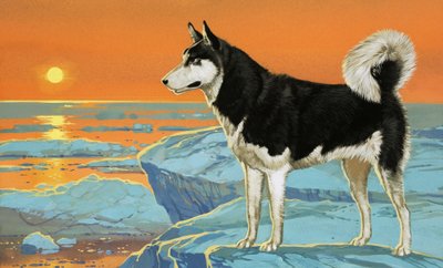 Perro Husky de Angus McBride