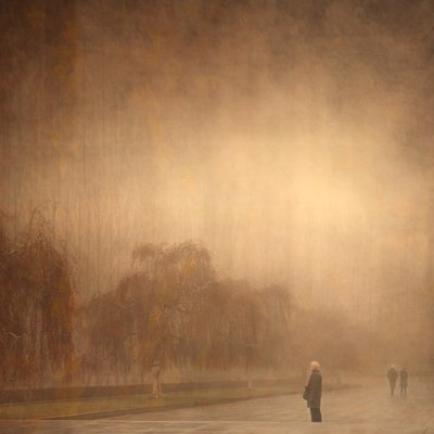 Un paseo otoñal de ensueño de Anja Buehrer