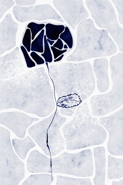 Resumen: La rosa azul de Ankie Kooi