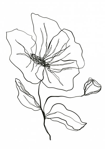 Dibujo de una flor delicada de Ankie Kooi