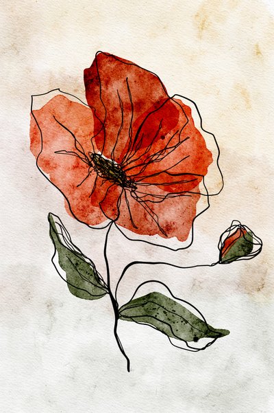 Amapola roja pintada con acuarela de Ankie Kooi