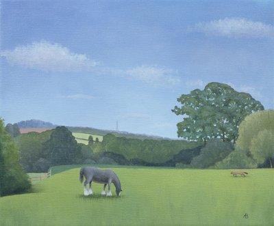 Vista de Emma de Anna Phillips