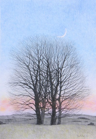 Luna Nueva, 2011 de Anna Phillips