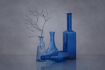 Botellas azules y ramas de Anna Klinkosz