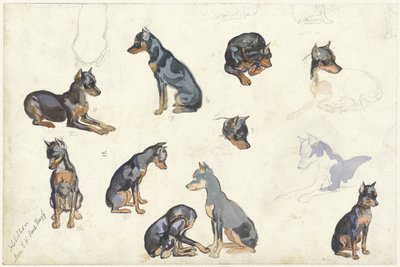 Estudios de un perro de Anna Maria Kruijff
