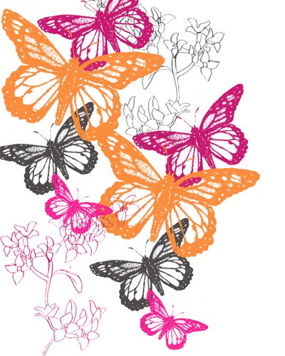 Mariposa de Anna Platts