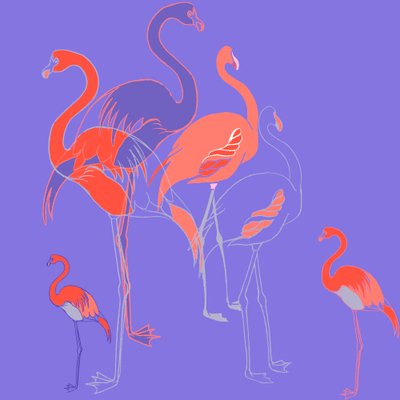 Flamencos de Anna Platts