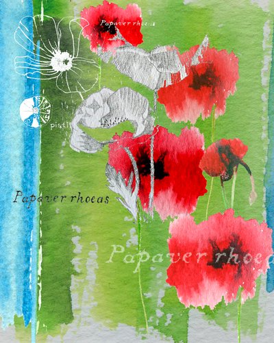 Amapola de Anna Platts