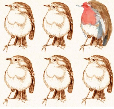 Petirrojo de Anna Platts