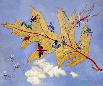 Hoja de otoño, 2009 (acrílico) de Anna Pugh
