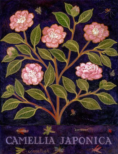  de Anna Pugh