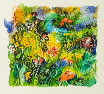 Chinches de los prados, 2023 (acuarela) de Anna Pugh