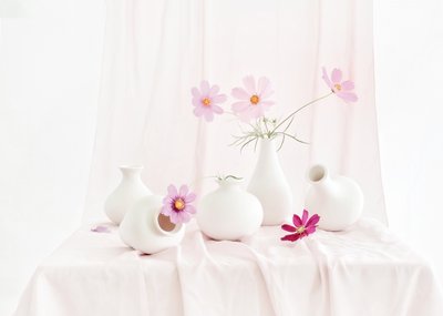  de Anna Qu