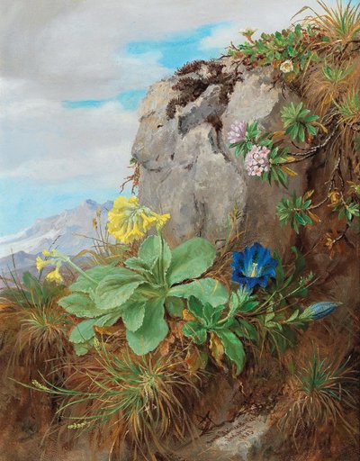 Flores alpinas de Anna Stainer Knittel
