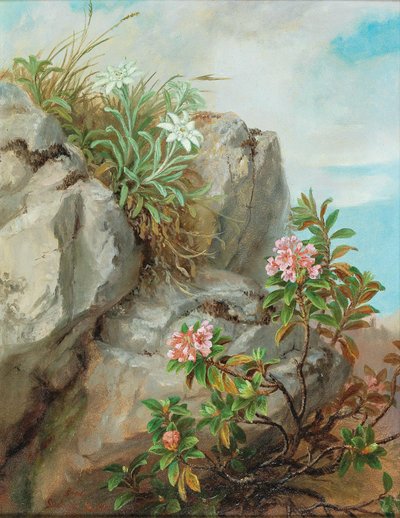 Rosas alpinas de Anna Stainer Knittel