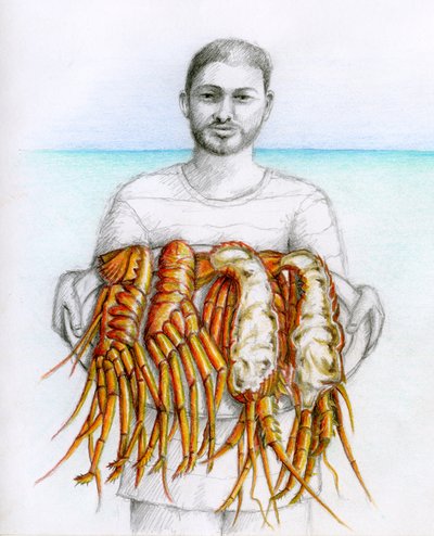Langosta espinosa, 2019 (lápiz y lápiz de color) de Annalisa Morrocco