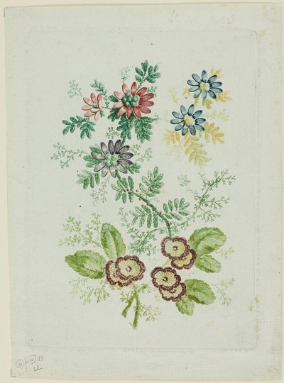 Flores de Anne Allen
