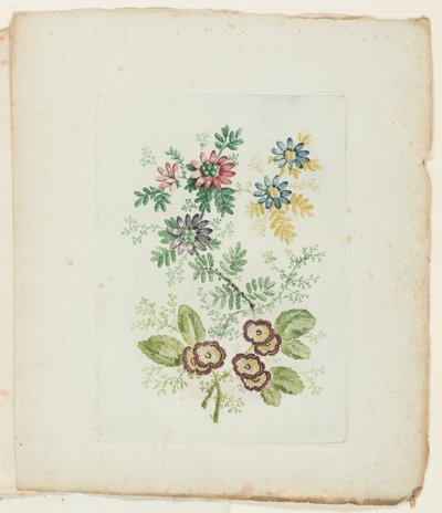 Plato, de la Nueva Suite de Cuadernos de Flores Ideales para Uso de Dibujantes y Pintores de Anne Allen