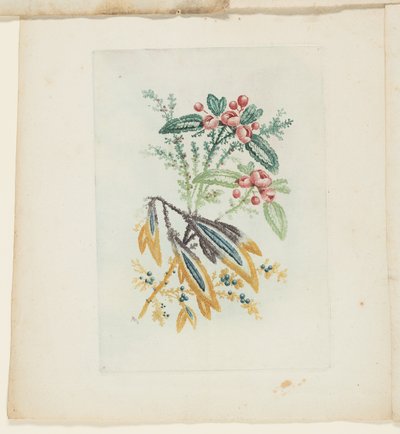 Plato, de la Nueva Suite de Cuadernos de Flores Ideales para Uso de Dibujantes y Pintores de Anne Allen