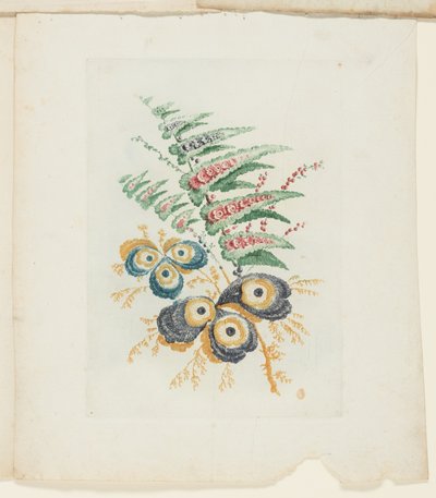 Plato, de la Nueva Suite de Cuadernos de Flores Ideales para Uso de Dibujantes y Pintores de Anne Allen