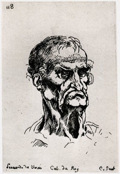 Dibujo después de Leonardo de Vinci, c1710-1765 1924 de Anne Claude Philippe de Caylus