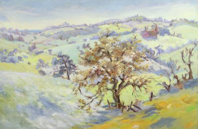 Desde Udimore hacia Peasmarch, Sussex, en invierno de Anne Durham
