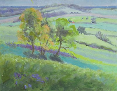 Hacia Winchelsea, Sussex, con campanillas azules en primavera de Anne Durham