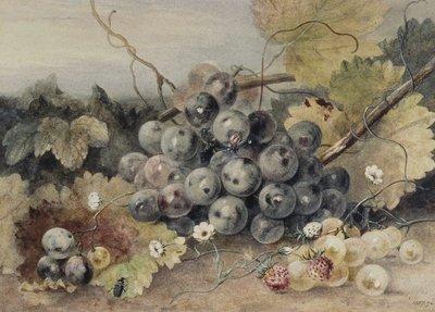 Uvas y fresas de Anne Frances Byrne