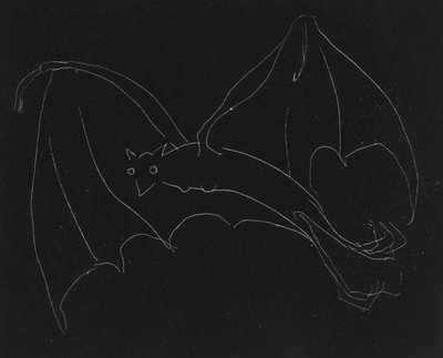 Serie Nocturna: El Murciélago de Anne Goldthwaite