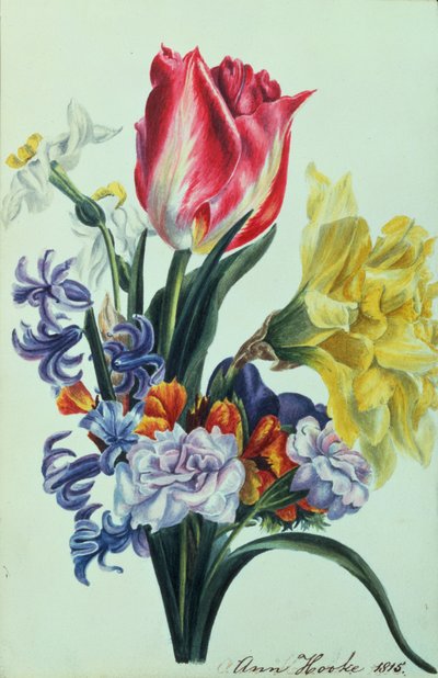 Flores de primavera, 1815 de Anne Hooke