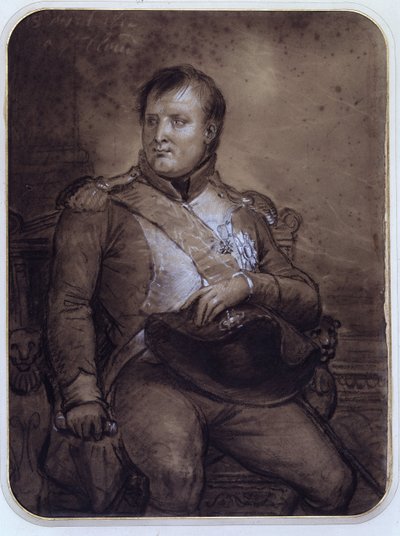 Napoleón I en Saint-Cloud, 1812 de Anne Louis Girodet de Roucy Trioson