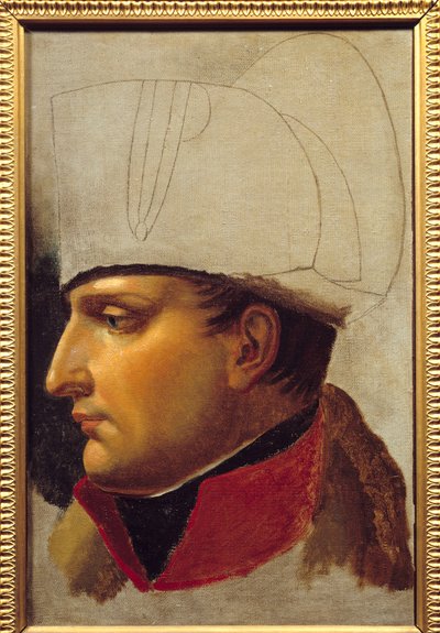 Retrato de Napoleón I (1769-1821) estudio para la entrega de llaves de la ciudad de Viena el 13 de noviembre de Anne Louis Girodet de Roucy Trioson
