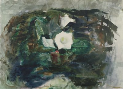 Gloxinia blanca de Anne Redpath