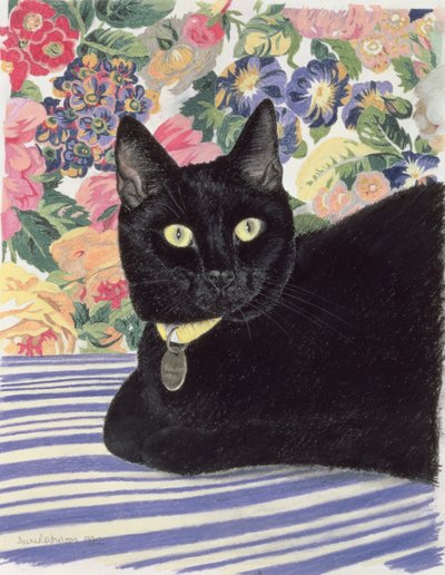 Gato Negro de Anne Robinson